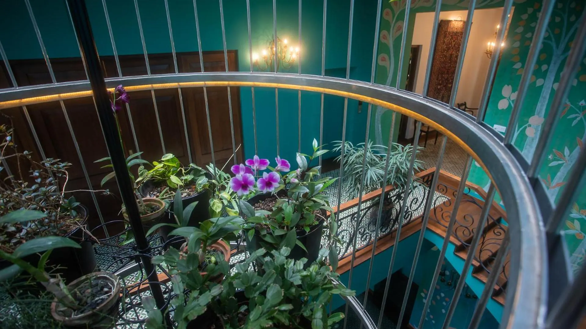 Hotel Kandy Dendrobium House