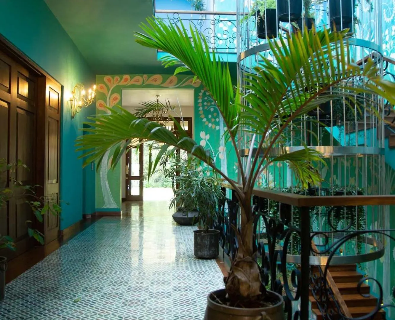 Kandy Dendrobium House